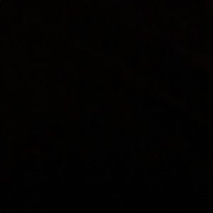 Meet your Posher, Charlee